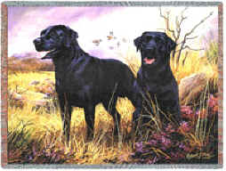 Black Labrador Retriever Throw - Black Labrador Retriever Afghan (2)