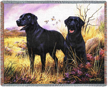 This elegant and colorful Black Lab Throw by Robert May makes a perfect Black Labrador Retriever gift!