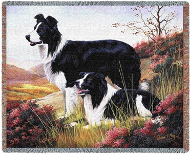 A Beautiful Border Collie Tapestry Throw or afghan Makes the Perfect Dog Lover Gift!