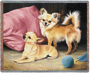 A Beautiful Chihuahua Tapestry Throw or afghan Makes the Perfect Dog Lover Gift!