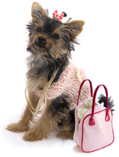 Unique Dog Breed Needlebag Handbags Can Double as Shoulder Bag or Clutch!